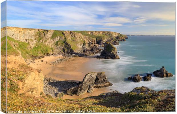 Spring flora (Bedruthan Steps) Canvas Print by Andrew Ray