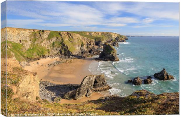 Spring flowers (Bedruthan Steps) Canvas Print by Andrew Ray