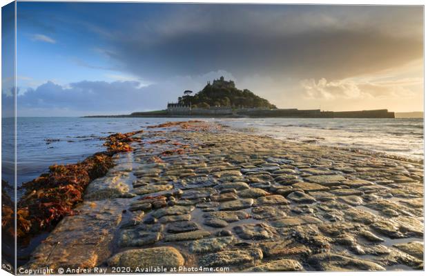 Late light on the causeway St Michael's Mount Canvas Print by Andrew Ray