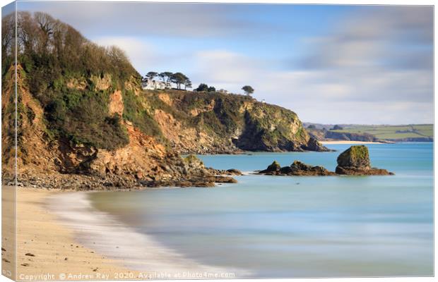 Duporth Beach view Canvas Print by Andrew Ray