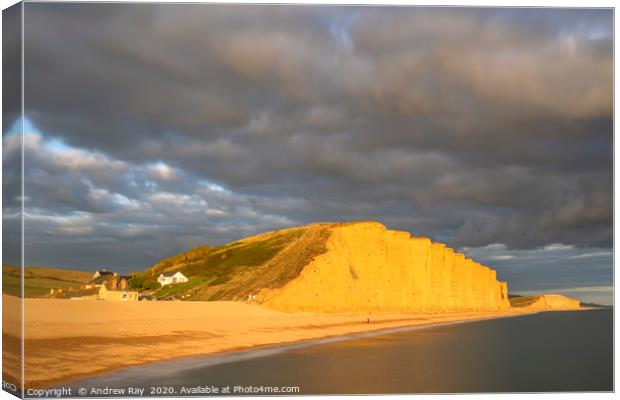 Evening light on East Cliff (West Bay) Canvas Print by Andrew Ray