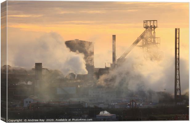 Evening at Port Talbot Canvas Print by Andrew Ray