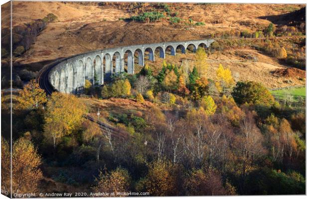 Glenfinnan Viaduct Canvas Print by Andrew Ray