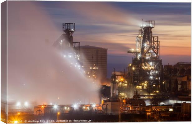Port Talbot   Canvas Print by Andrew Ray