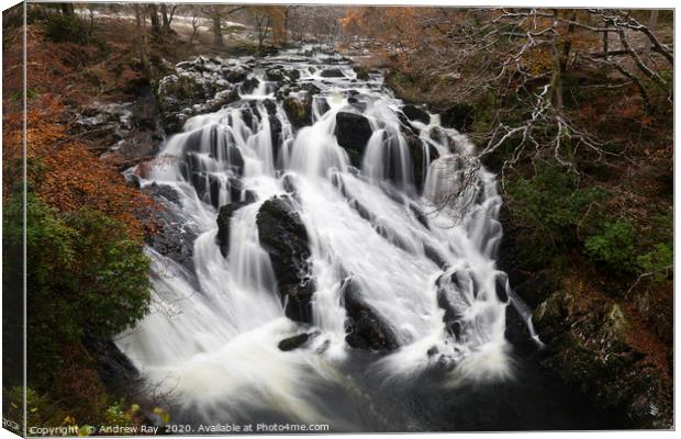 Above Swallow Falls Canvas Print by Andrew Ray