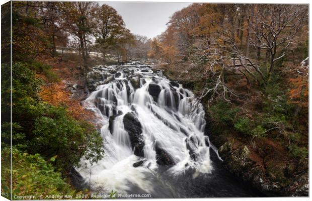 Swallow Falls (Snowdonia) Canvas Print by Andrew Ray