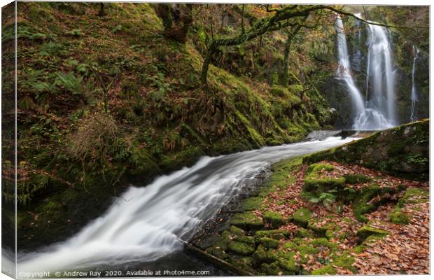Towards Ceunant Mawr Waterfall Canvas Print by Andrew Ray