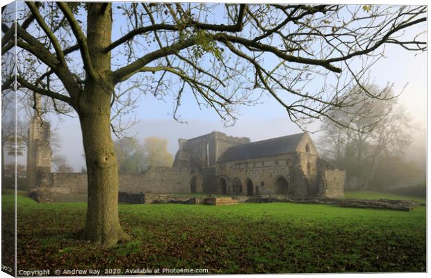 Valle Crucis Abbey Canvas Print by Andrew Ray