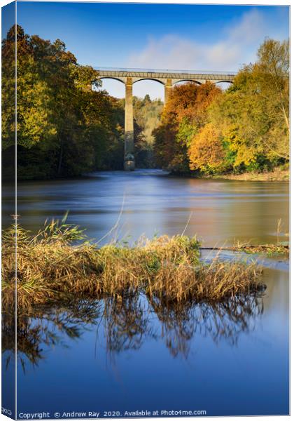Autumn at the Pontcysyllte Aqueduct Canvas Print by Andrew Ray