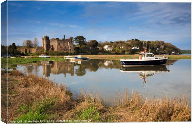 Laugharne Castle at high tide Canvas Print by Andrew Ray