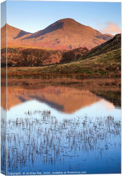 Kelly Hall Tarn reflectIons Canvas Print by Andrew Ray