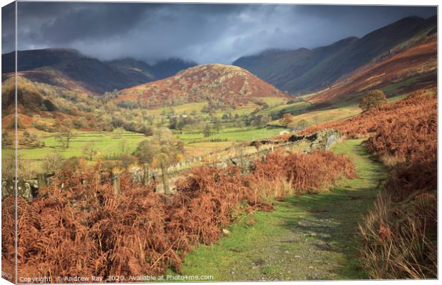 Footpath to the Tongue Canvas Print by Andrew Ray