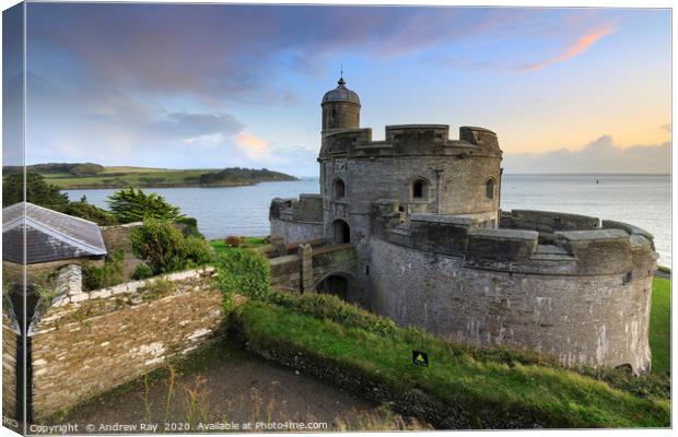 Evening at St Mawes Castle Canvas Print by Andrew Ray