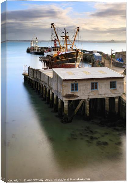 Morning light on Newlyn dry dock Canvas Print by Andrew Ray