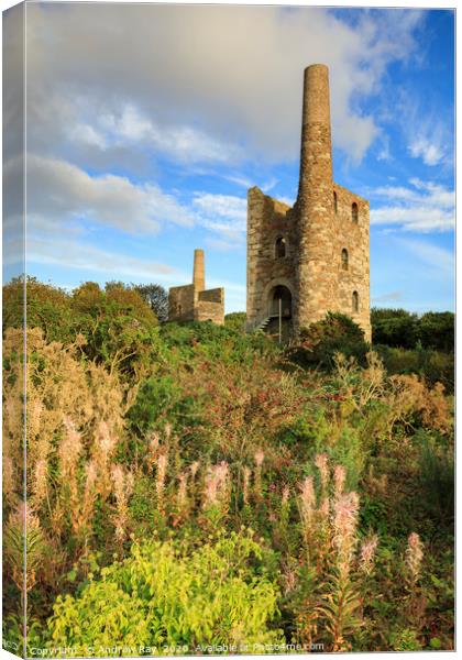 Summer evening (Wheal Peevor) Canvas Print by Andrew Ray