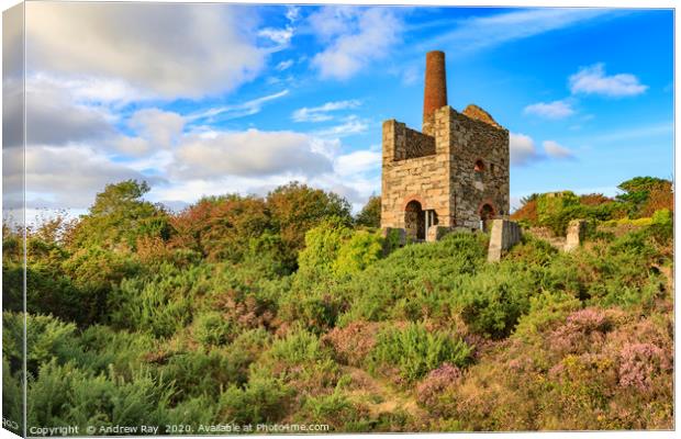 Evening light at Wheal Peevor Canvas Print by Andrew Ray