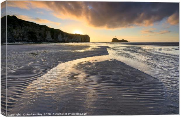 Stream and rand ripples (Perranporth) Canvas Print by Andrew Ray