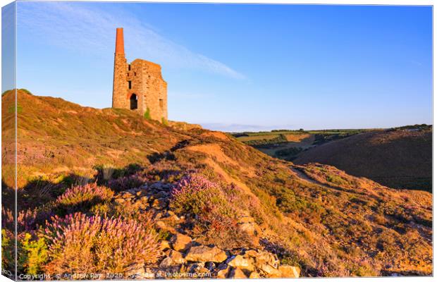 Evening light at Tywarnhyle Engine House Canvas Print by Andrew Ray