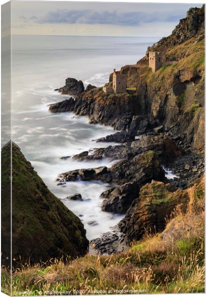 Evening light (Botallack) Canvas Print by Andrew Ray
