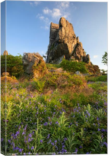 Spring evening (Roche Rock) Canvas Print by Andrew Ray