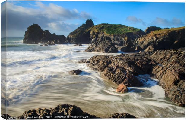 Kynance Cove Canvas Print by Andrew Ray