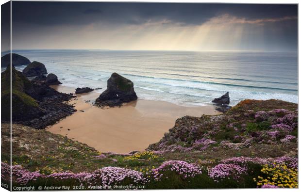 Shafts of light over the Bedruthan Steps Canvas Print by Andrew Ray