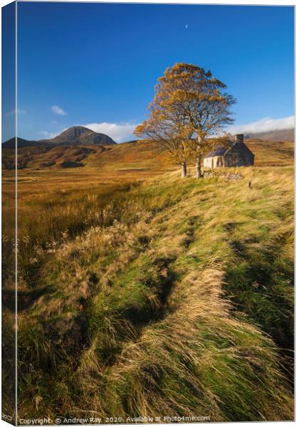 Tree and House (Loch Loyal) Canvas Print by Andrew Ray