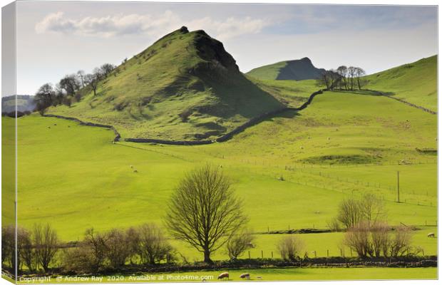 Parkhouse and Chrome Hills Canvas Print by Andrew Ray