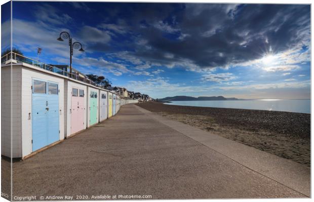 Beach huts at Lyme Regis Canvas Print by Andrew Ray
