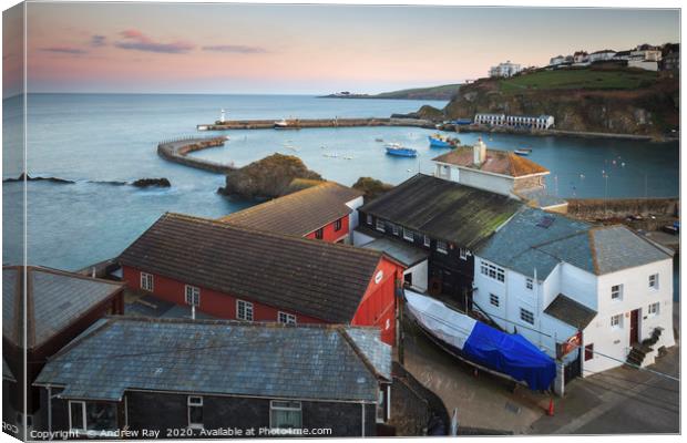 Above the museum (Mevagissey). Canvas Print by Andrew Ray