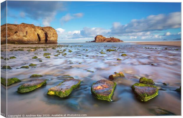 Perranporth Stepping Stones Canvas Print by Andrew Ray