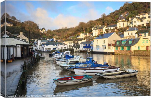 First light (Polperro) Canvas Print by Andrew Ray