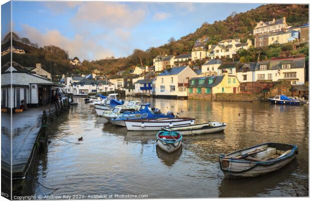 Polperro at first light Canvas Print by Andrew Ray