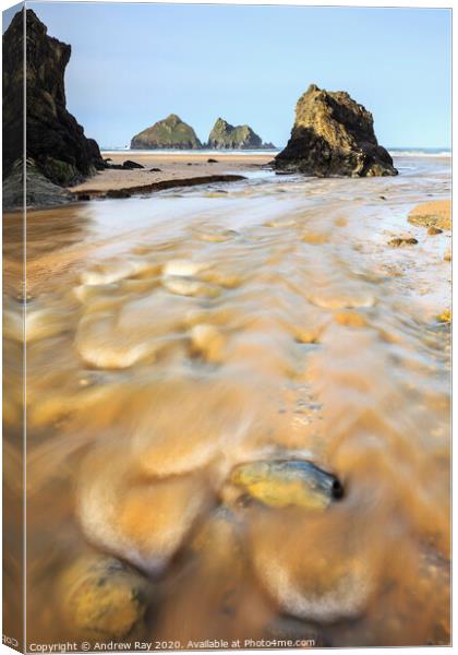 Boulders in Holywell River Canvas Print by Andrew Ray