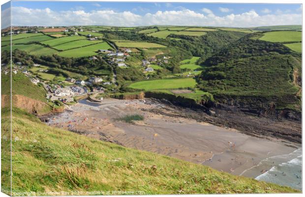 Crackington Haven Canvas Print by Andrew Ray