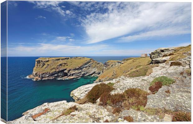 Tintagel Head and Castle Canvas Print by Andrew Ray