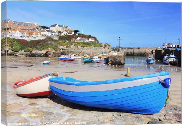 Boats on slipway (Newquay Harbour) Canvas Print by Andrew Ray