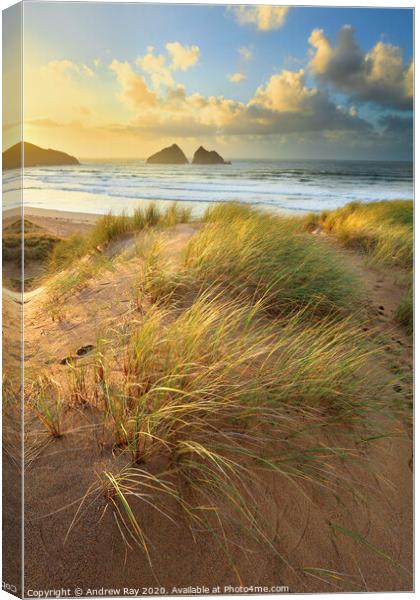 Dunes at sunset (Holywell Bay) Canvas Print by Andrew Ray