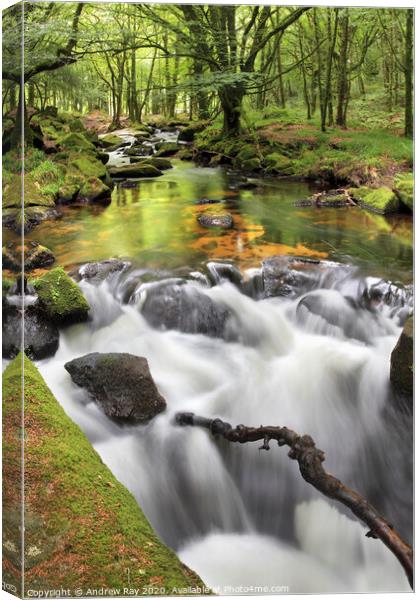 Falls View (Golitha Falls) Canvas Print by Andrew Ray