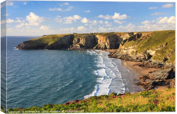 Coast Path View (Trebarwith Strand) Canvas Print by Andrew Ray