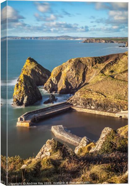 Mullion Harbour Canvas Print by Andrew Ray