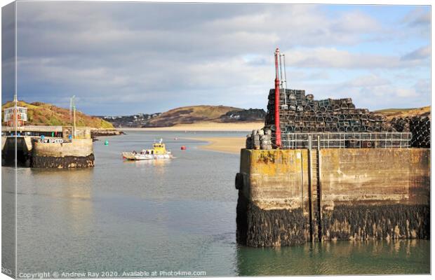 Padstow Outer Harbour Canvas Print by Andrew Ray