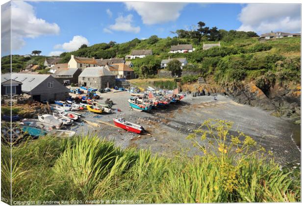 Cliff view (Cadgwith) Canvas Print by Andrew Ray