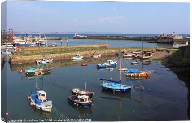 Old Harbour View (Newlyn) Canvas Print by Andrew Ray