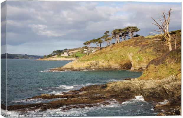 Towards St Mawes Castle Canvas Print by Andrew Ray