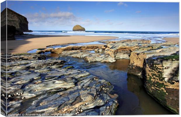Low tide at Trebarwith Strand Canvas Print by Andrew Ray