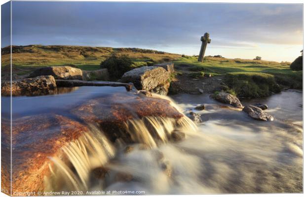 Windy Post Falls (Dartmoor) Canvas Print by Andrew Ray