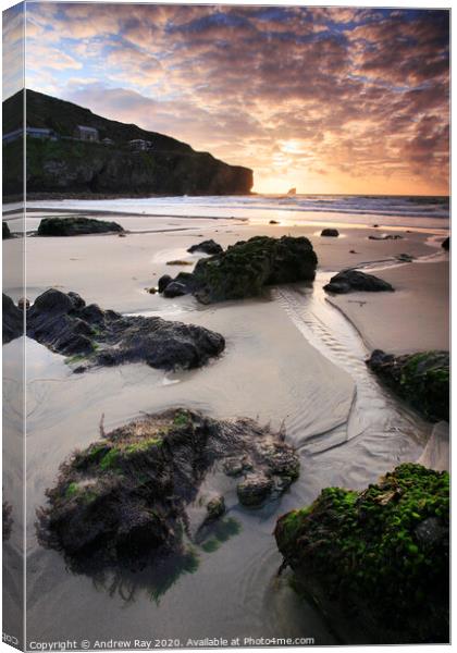 Trevaunance Cove Canvas Print by Andrew Ray