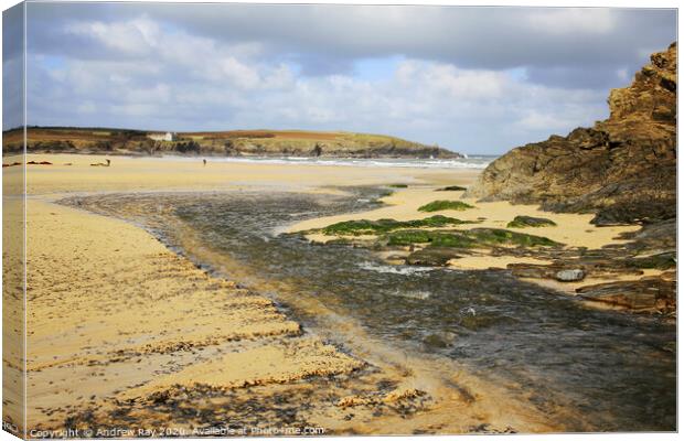 Harlyn Bay Canvas Print by Andrew Ray