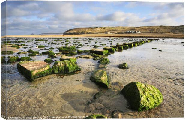 Across  the Stepping Stones (Perranporth) Canvas Print by Andrew Ray